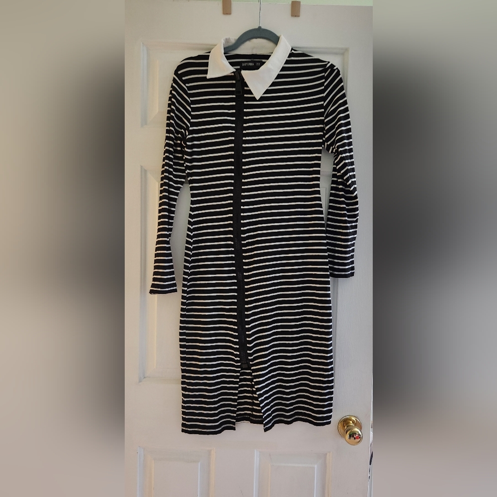 Disturbia Striped Dress with Chunky Zipper